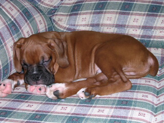 Nap time