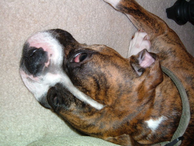 NAP TIME