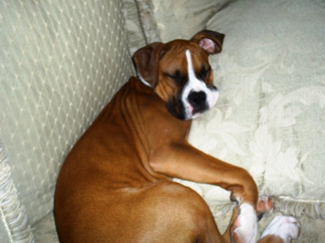 Nap Time!