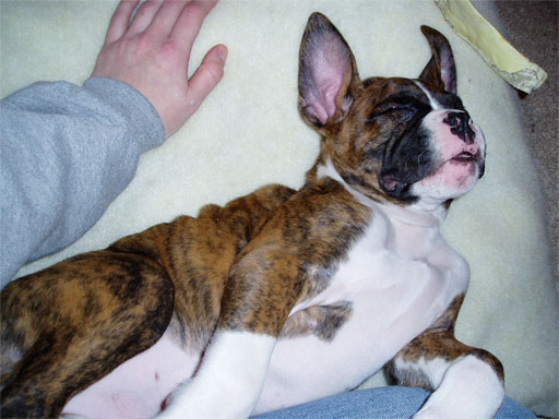 nap time!