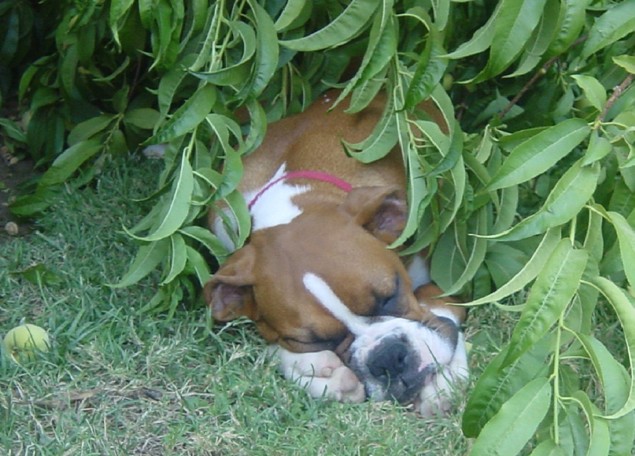 Nap Time