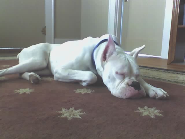 Nap time!