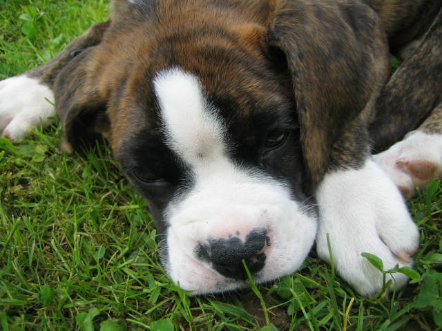 NAP TIME