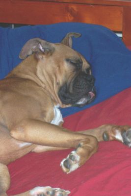 Nap time
