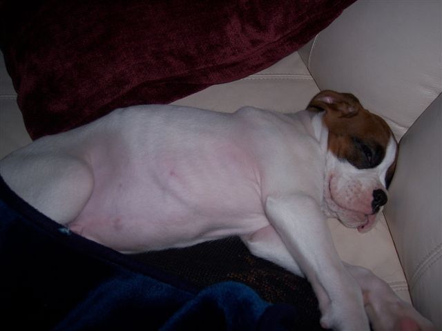 Nap time