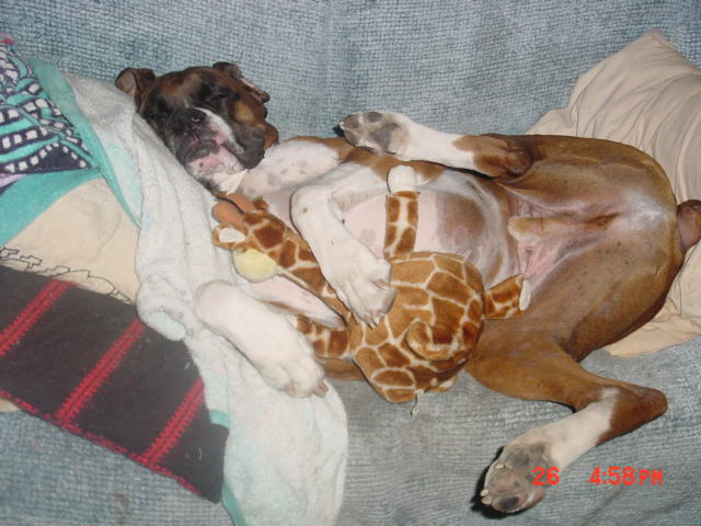 Nap time