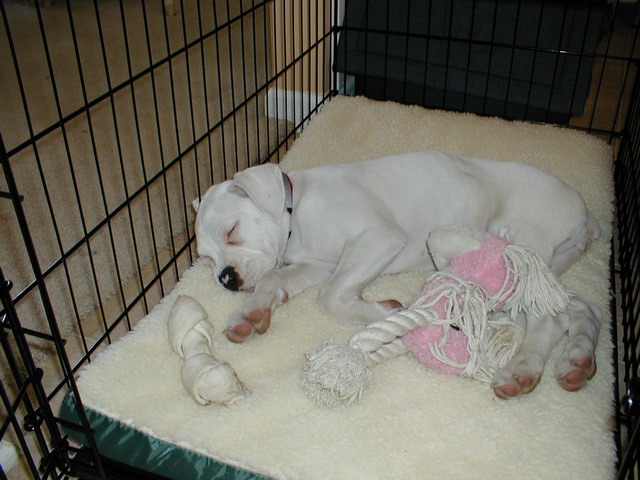 nap time