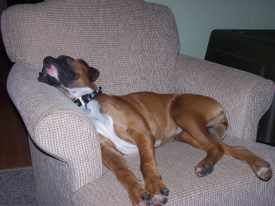 Nap time