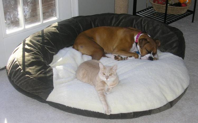 nap time