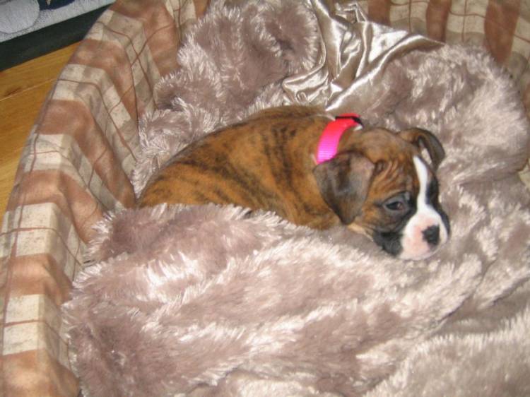 Nap Time