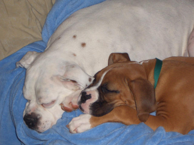 Nap Time
