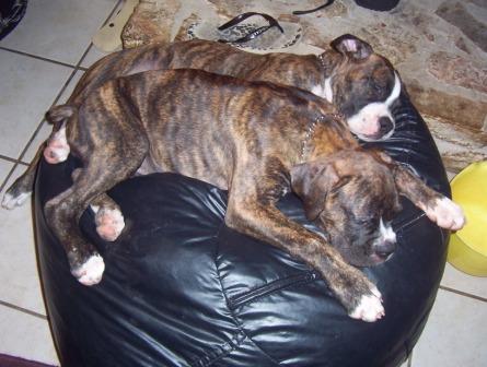 Nap time