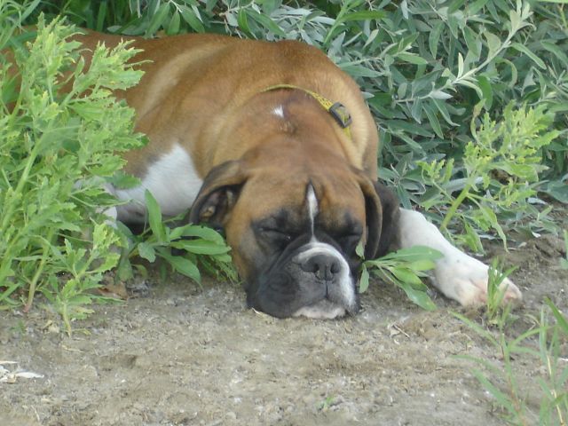 Nap time