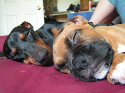 Nap Time..