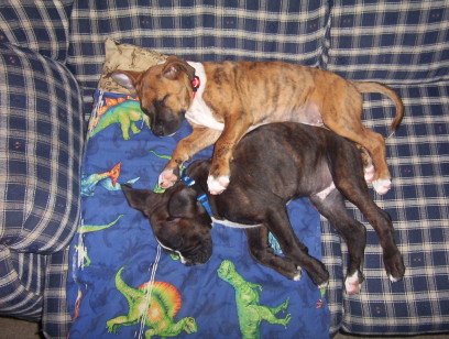 Nap time