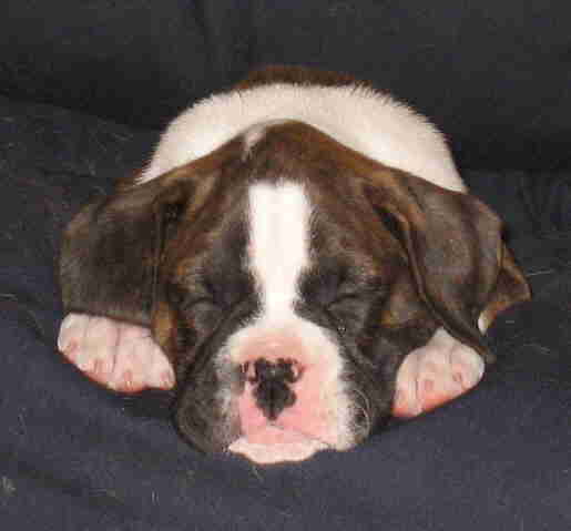 Nap time