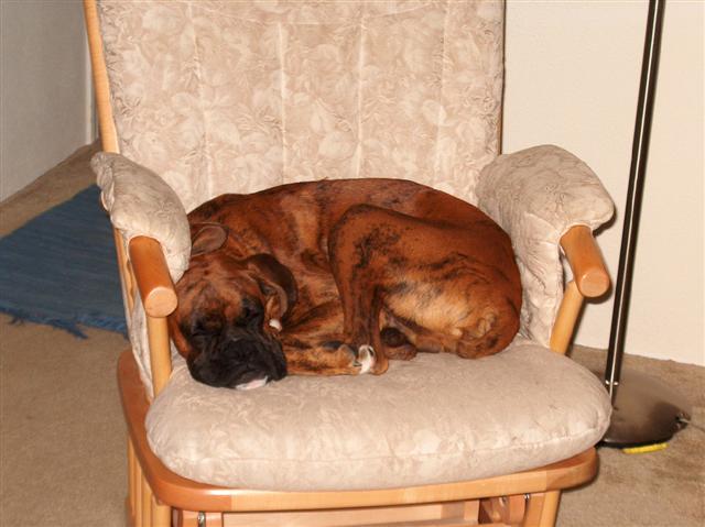 nap time