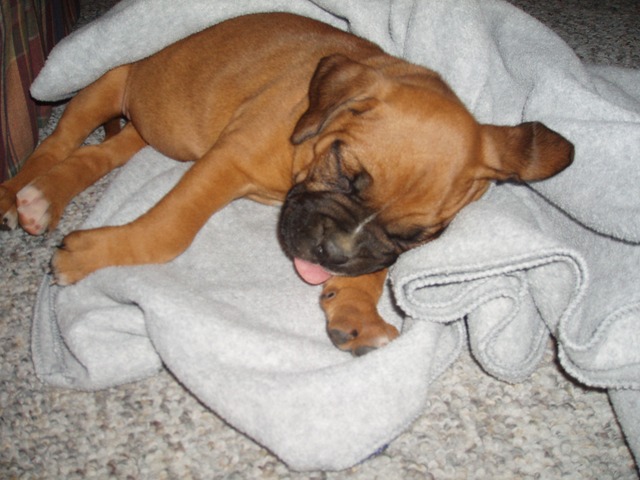 Nap time!