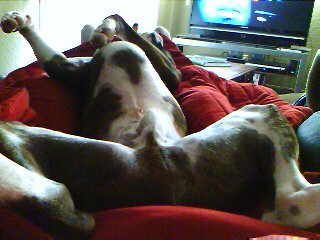 Nap time
