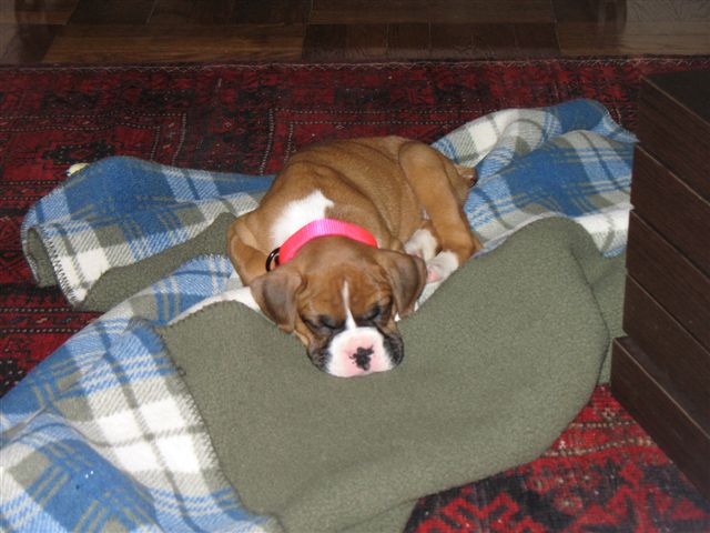 Nap Time