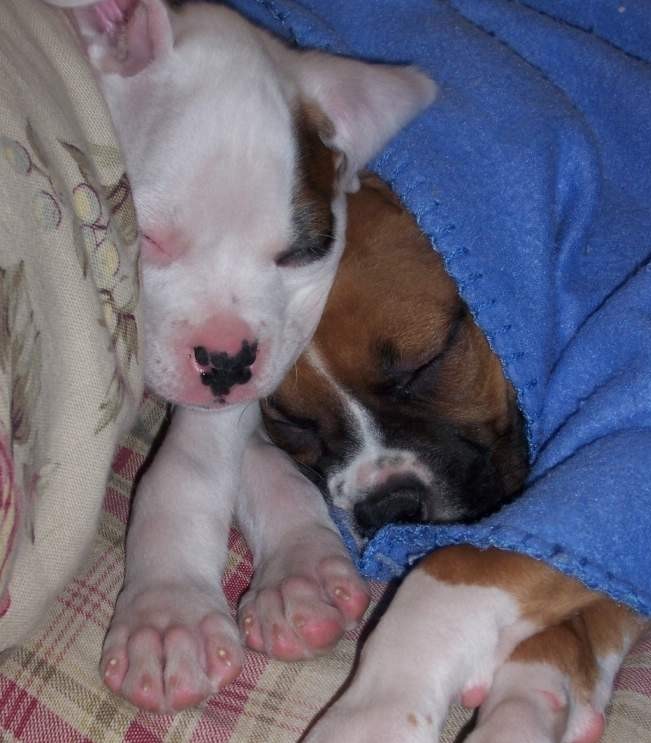 Nap Time
