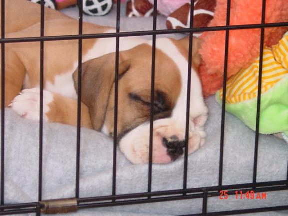 Nap Time