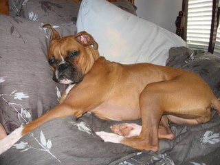 Nap time
