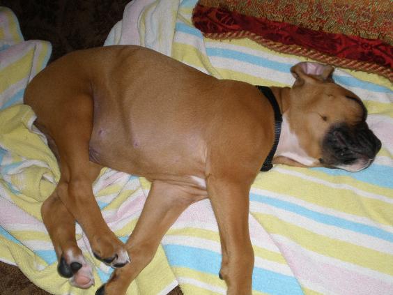 nap time
