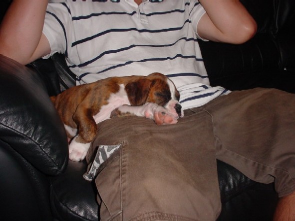 Nap