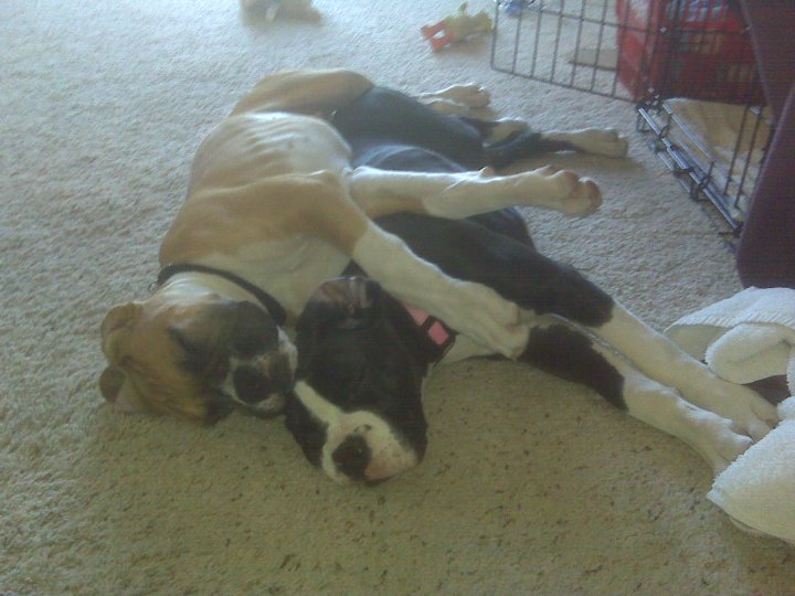 nap_time8