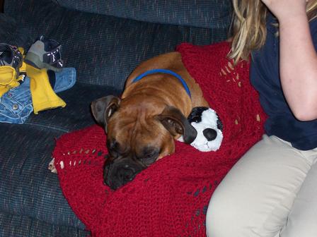 Napping Again