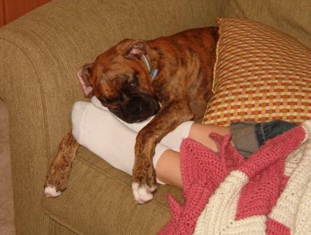 Napping on the couch...