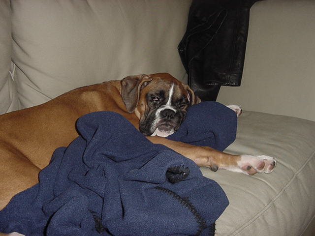 Napping