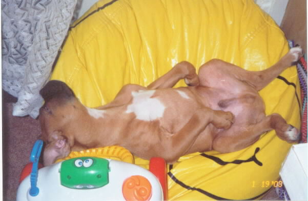 napping