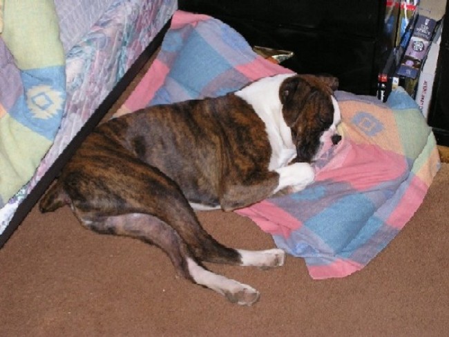 Napping