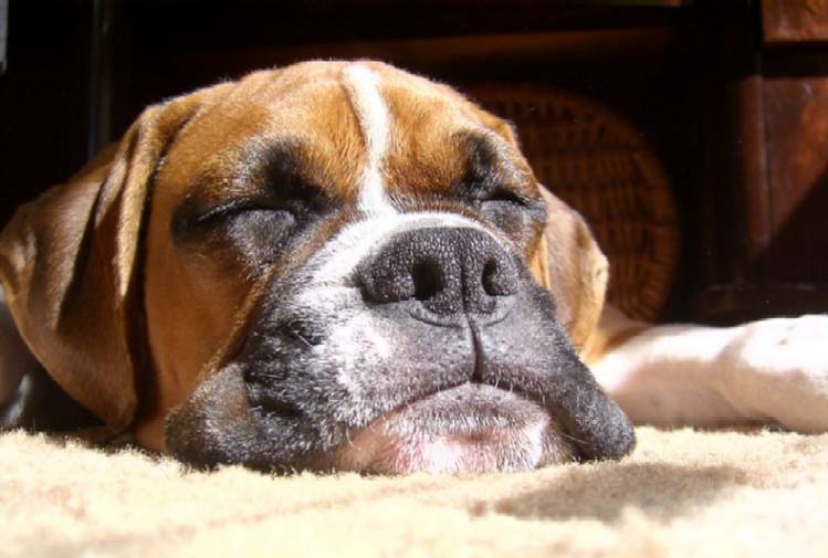 napping