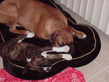 Napping