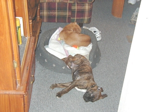 Napping.