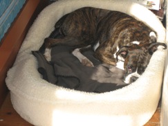 Napping