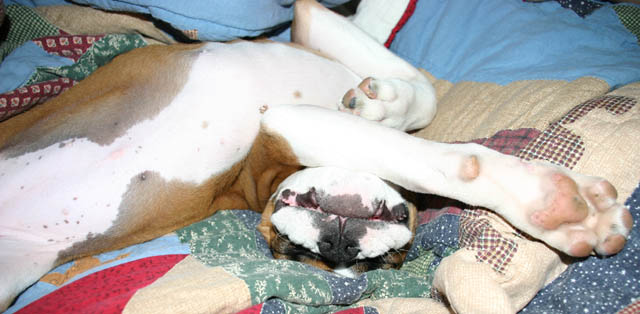 napping