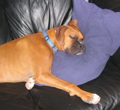 Napping