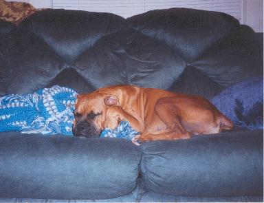 Napping