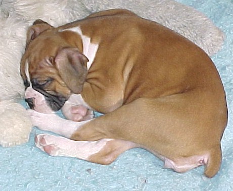 Naptime