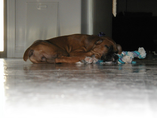 Naptime