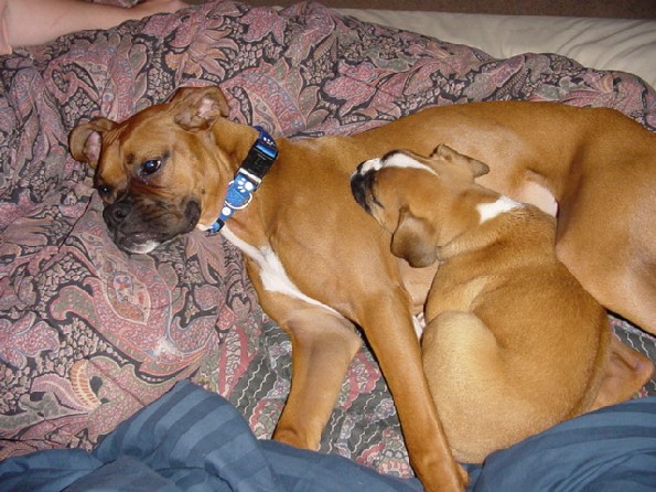 Naptime