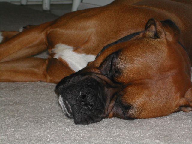 Naptime