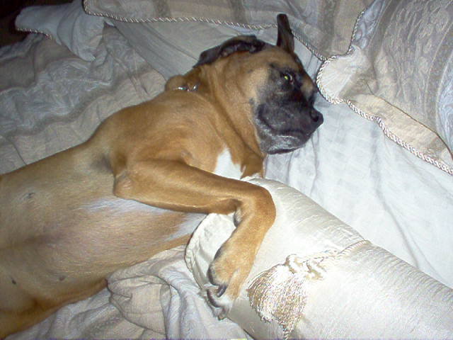 Naptime