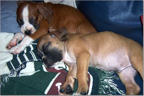 Naptime