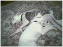 Naptime