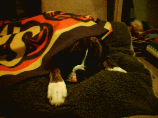 Naptime